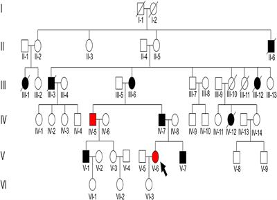 Case Report: A Pathogenic Missense Variant of WT1 Cosegregates With Proteinuria in a Six-Generation Chinese Family With IgA Nephropathy